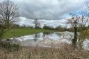 Flooding has returned to Verulamium Park, and has been pictured by residents in the area.