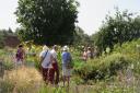 Visitors to the Luton Hoo estate walled garden