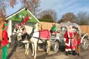 Santa arrived in a horse-drawn carriage to take up residence in his grotto at Notcutts St Albans. Picture: Genesis PR