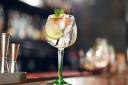 You can enjoy a glass of gin at the St Albans Gin & Prosecco Festival 2019 at The Alban Arena. Picture: Getty Images/iStockphoto