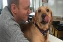 Matt Colley, animal care teacher at St Luke's School in Redbourn, brings in his golden labrador, Maple. Picture: Esther Harbord