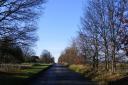 One of the roads that run through the common, near Harpenden and Kinsbourne Green