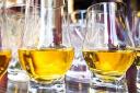 The newly-formed St Albans Whisky Appreciation Society will meet once a month, starting on March 3 at Mokoko