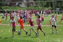 Pupils of Grove Junior school taking part in the Race for Life