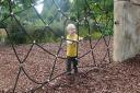 Theo and the spider web at the adventure playground, Stockwood Discovery Centre