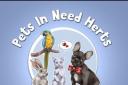Pets In Need Herts provides pet food parcels and accessories for all animals, to meet their daily needs.