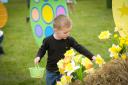 Four-year-old Leo from Bushey collecting Easter eggs at Willows Activity Farm.
