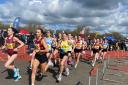 St Albans Striders and St Albans AC had a combined team at the SEAA Road Relays. Picture: WILL & STEVE BOWRAN