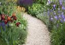 “Gravel is being embraced because it’s in everyone’s budget and it offers a more natural feeling to the garden,” says garden designer Ann-Marie Powell.