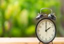 A bit of effort now will mean less time spent doing jobs in the garden later in the year. Picture: iStock/PA