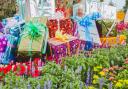 Keen gardeners are spoilt for choice this Christmas. Picture: iStock/PA