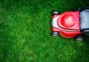 Cutting it: The perfect lawn mowing session needs to be well timed. Picture: Getty Images/iStockphoto