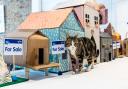 Cat-titude: Evie examines the houses on offer from the Blue Cross Estate Agent for Cats in Old Street