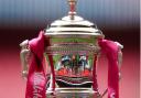 Harpenden Town and Colney Heath both reached the third round qualifying of the Women\'s FA Cup.