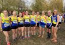 St Albans Striders women at the Chiltern Cross-country League.