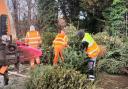 £112,000 has been raised over six years of tree collections.