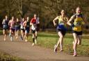 Heather Hann (second from right) in action for St Albans Striders at the Watford Half Marathon.