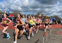 St Albans Striders and St Albans AC had a combined team at the SEAA Road Relays. Picture: WILL & STEVE BOWRAN