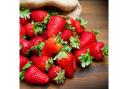 Have a 'sweet summer' with You Garden's everybearer strawberry variety