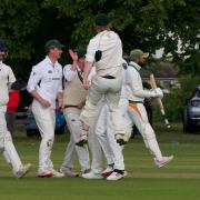 Redbourn players celebrate a key wicket against Stoke Green