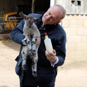 Sir Ed Davey with a lamb in Harpenden