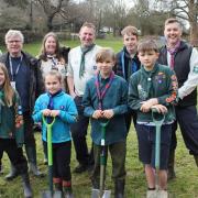Volunteers have been planting hundreds of new trees across the St Albans district.