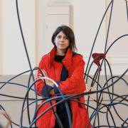 Artist Rosana Antolí's Chaos Dancing Cosmos can be seen in the Assembly Room at St Albans Museum + Gallery.