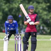 James Latham thumped 88  to guide Harpenden to victory over Potters Bar in the Herts Cricket League.