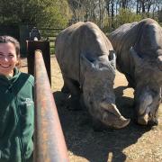 Rosie Turner, senior zookeeper, is walking from London to Whipsnade Zoo to raise funds for the ZSL charity.