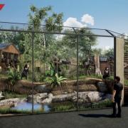 A CGI image of how Sun Bear Heights will look at Paradise Wildlife Park. The new habitat will be home to a couple of sun bears.