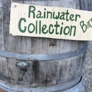 Rainwater is better for plants than tap water and it will help you save on water bills.