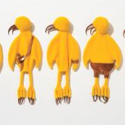 Permindar Kaur, Yellow Birds (2019), forms part of the Hertfordshire Open Exhibition, which can be viewed online at UH Arts and St Albans Museum + Gallery websites