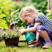 With many of us self-isolating, there's never been a better time to get out in the garden. Picture: iStock/PA