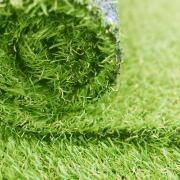 It took a dog and a daughter to bring Debbie round to the idea that fake grass was what her garden needed. Picture: Getty Images/iStockphoto