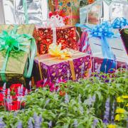 Keen gardeners are spoilt for choice this Christmas. Picture: iStock/PA