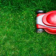 Cutting it: The perfect lawn mowing session needs to be well timed. Picture: Getty Images/iStockphoto