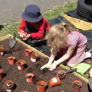 Hertfordshire Gardens Trust worked with Tanners Wood School and their enthusiastic early years teacher. Picture: Tanners Wood School