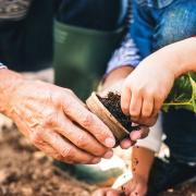 There are many things you can change to make yourself a more environmentally-friendly gardener. Picture: Getty