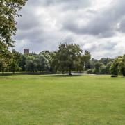 St Albans has been named one of the UK's greenest cities