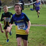 Jonah McNaught was seventh in the U11 race for St Albans Athletics Club. Picture: GRAHAM SMITH