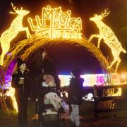 Lumagica St Albans is located at Willows Activity Farm, London Colney,