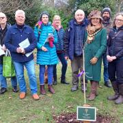 The Tree of Hope was dedicated at St Peter's Church for the Queen's Green Canopy project