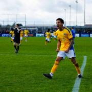 Zane Banton roars in celebration after scoring for St Albans City. Picture: SACFC