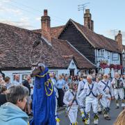 A large stag performed with St Albans Morris.
