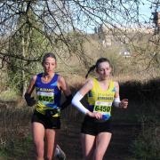 St Albans Athletics Club and St Albans Striders shone on home turf in the Herts Cross-country Championship. Picture: TONY BARR