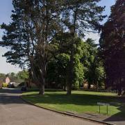 An XL Bully attack in Russet Drive has resulted in a man being hospitalised with GBH-level injuries.