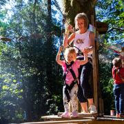 Go Ape has lots of offers to get you and your wallet through the summer!