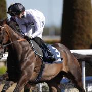 Constitution Hill has a couple of UK options upcoming (Steven Paston/PA)