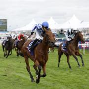 Highwayman beats Enceladus, right, in the St Leger (Richard Sellers/PA)