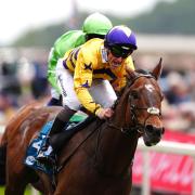American Affair could be off on his travels (Mike Egerton/PA)